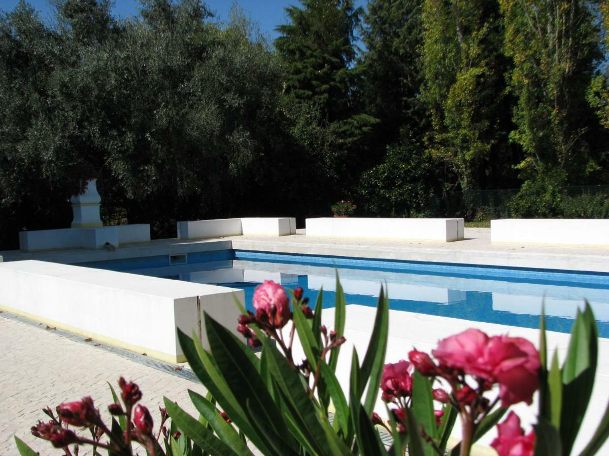 Quinta Do Outeiro Bed & Breakfast Vila Nova de Poiares Luaran gambar