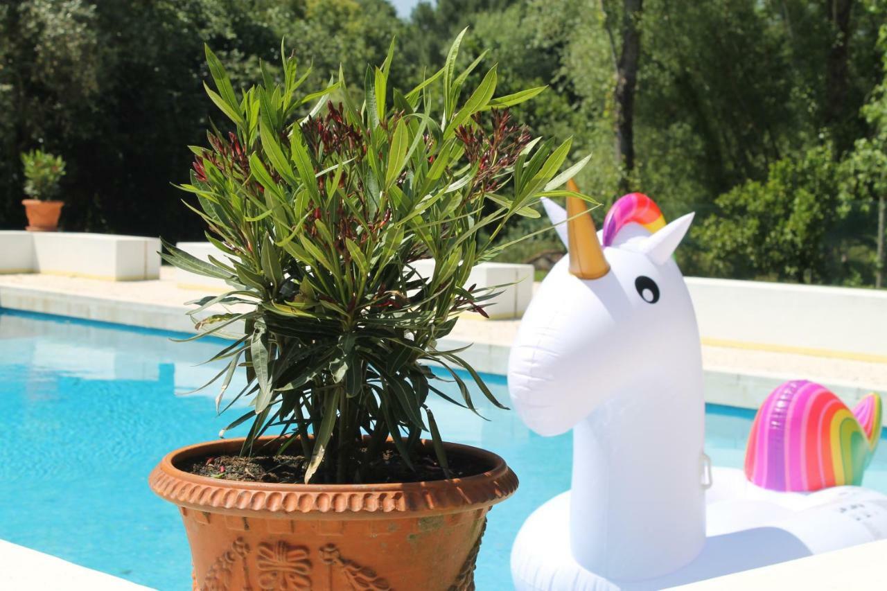 Quinta Do Outeiro Bed & Breakfast Vila Nova de Poiares Luaran gambar