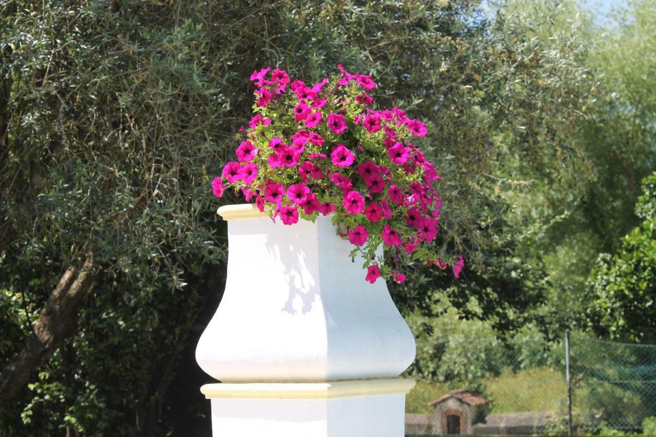 Quinta Do Outeiro Bed & Breakfast Vila Nova de Poiares Luaran gambar