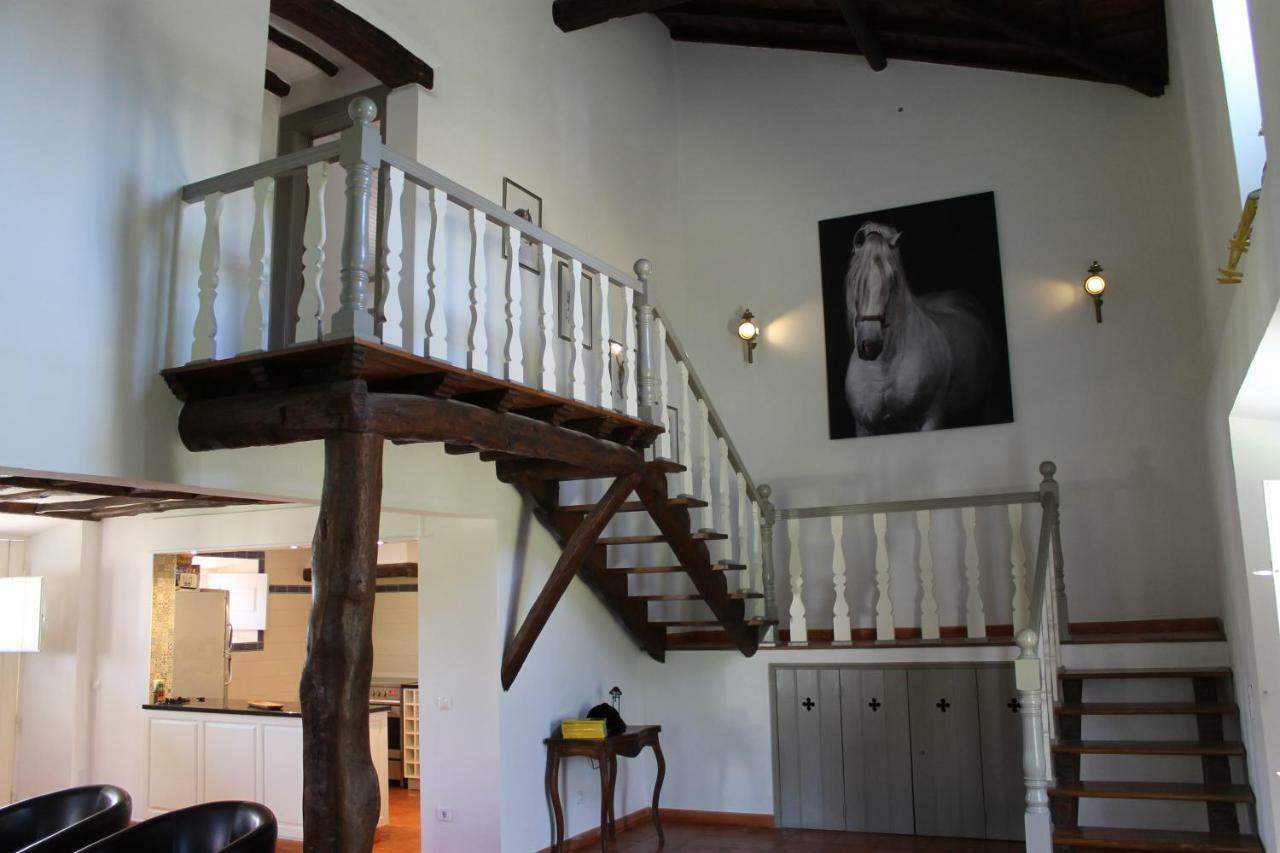 Quinta Do Outeiro Bed & Breakfast Vila Nova de Poiares Luaran gambar